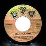 USJE SUKATMA "Waiting For Your Love" PPU VOCODER DISCO FUNK 7"