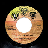 USJE SUKATMA "Waiting For Your Love" PPU VOCODER DISCO FUNK 7"