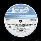 AMRA "Special Kind Of Lovin'" SYNTH BOOGIE DISCO FUNK REISSUE 12"