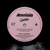 PSYCHIC MIRRORS "Ophilia" AMNISIA PPU COSMIC AOR FUNK BOOGIE 2LP