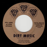 CENTRAL AYR PRODUCTIONS "Dirt Music" Florida Funk PPU-098 7"