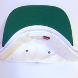 Hts (Home Team Sports) ~ Vintage ~ Mega Rare Snapback Hat