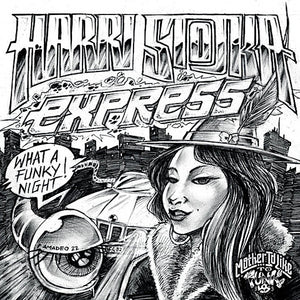 Harri Stojka Express  "What a Funky Night" KILLER SYNTH FUNK BOOGIE REISSUE 7"