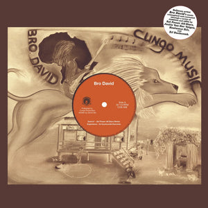 BRO DAVID "Cungo Music" HEAT WAVE MODERN SOUL TROPICAL FUNK REMIX 12" EP