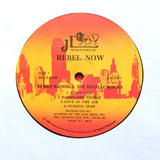 Dubby Brodie "Rebel Now" PRIVATE PRESS MODERN SOUL REGGAE FUNK LP