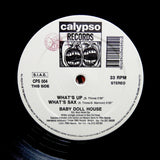 BABY DOLL HOUSE "What's Up" 90s ITALIAN COSMIC DOWNTEMPO HOUSE 12"