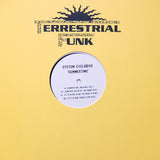 SYSTEM EXCLUSIVE "Summertime" UK STREET SOUL DEEP HOUSE GARAGE 12"
