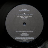 RICHENEL "Perfect Stranger" MUSIC FROM MEMORY SYNTH WAVE BOOGIE LP