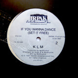 KLM " If You Wanna Dance Set It Free" SEALED 1991 DEEP HOUSE TECHNO 12"