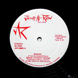 BACK STREET BAND "Shake / Let's Be Lovers" PRIVATE BOOGIE FUNK REISSUE 12"