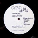 THE TRUMAINS "Ripe For The Pickin" PROMO MODERN SOUL DISCO REISSUE 12"