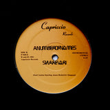 A NUMBER OF NAMES "Sharevari" CAPRICCIO TECHNO SYNTH WAVE REISSUE 12"