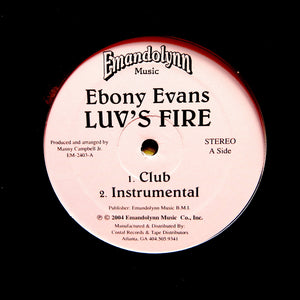 Ebony Evans "All I Want To Do" PRIVATE MODERN SOUL R&B FUNK 12"