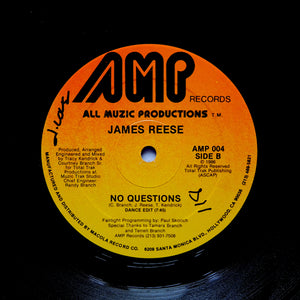 JAMES REESE "No Questions" PRIVATE PRESS SYNTH BOOGIE FUNK HOUSE 12"