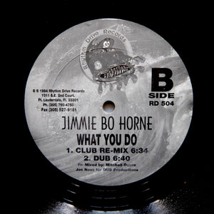 JIMMIE BO HORNE "What You Do" MODERN SOUL FUNK GARAGE HOUSE 12"