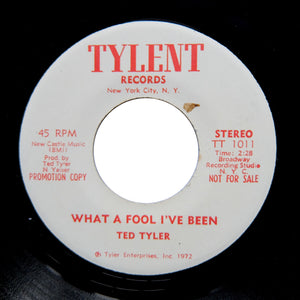 Ted Tyler "What A Fool I've Been" PRIVATE 1972 SOUL 7"