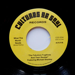 Fabulous Fugitives "What the World Needs" 70s MODERN SOUL FUNK REISSUE 7"