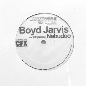 Boyd Jarvis "Nabudoo" Y2K COSMIC AFRICAN DEEP HOUSE 12"