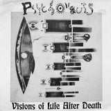 Psychonauts "Visions Of Life After Death" PRIVATE PSYCH PUNK SYNTH WAVE LP