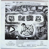 Psychonauts "Visions Of Life After Death" PRIVATE PSYCH PUNK SYNTH WAVE LP