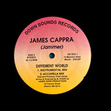 JAMES CAPPRA "Different World" KILLER PRIVATE 80s BOOGIE FUNK 12"