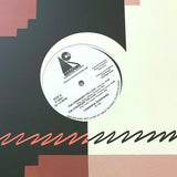 TOWANNA SHEPERD "Stronger" PRIVATE SYNTH SOUL R&B BOOGIE FUNK 12"