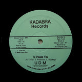 UDM "To Please You" PRIVATE PRESS SYNTH BOOGIE FUNK REISSUE 12"