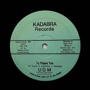 UDM "To Please You" PRIVATE PRESS SYNTH BOOGIE FUNK REISSUE 12"
