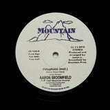 AARON BROOMFIELD "Polyphase" PRIVATE SYNTH FUNK BOOGIE REISSUE 12"