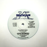 AARON BROOMFIELD "Polyphase" PRIVATE SYNTH FUNK BOOGIE REISSUE 12"