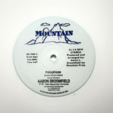 AARON BROOMFIELD "Polyphase" PRIVATE SYNTH FUNK BOOGIE REISSUE 12"