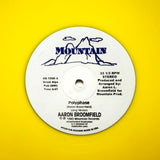 AARON BROOMFIELD "Polyphase" PRIVATE SYNTH FUNK BOOGIE REISSUE 12"