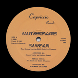 A NUMBER OF NAMES "Sharevari" RARE SYNTH BOOGIE PROTO HOUSE REISSUE 12"