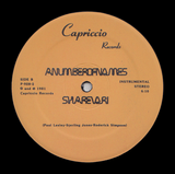 A NUMBER OF NAMES "Sharevari" RARE SYNTH BOOGIE PROTO HOUSE REISSUE 12"