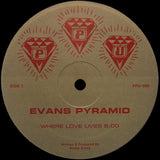 EVANS PYRAMID "Where Love Lives" PPU-060 MODERN SOUL DISCO BOOGIE 12"