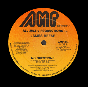 JAMES REESE "No Questions" PRIVATE PRESS SYNTH BOOGIE FUNK HOUSE 12"