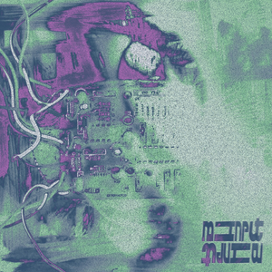 NO INPUT "JT2OU" PRIVATE ELECTRO ACID TECHNO FUNK 12"