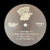 ANOTHER TASTE II • 2026 SPACE GRAPES MODERN SOUL DISCO BOOGIE FUNK LP