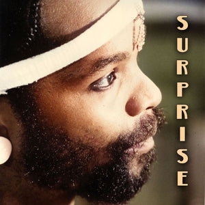 SURPRISE "Wow" KILLER VOCODER FUNK BOOGIE REISSUE 12"