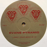 EVANS PYRAMID "Where Love Lives" PPU-060 MODERN SOUL DISCO BOOGIE 12"