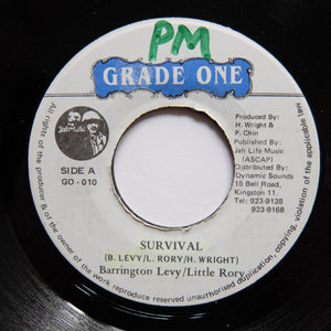 BARRINGTON LEVY / LITTLE RORY "Survival" DIGI DANCEHALL DUB RAGGA REGGAE 7"