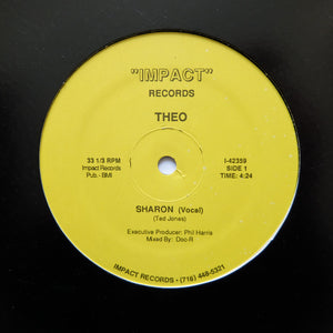 THEO "Sharon" PRIVATE PRESS SYNTH BOOGIE FUNK 12"